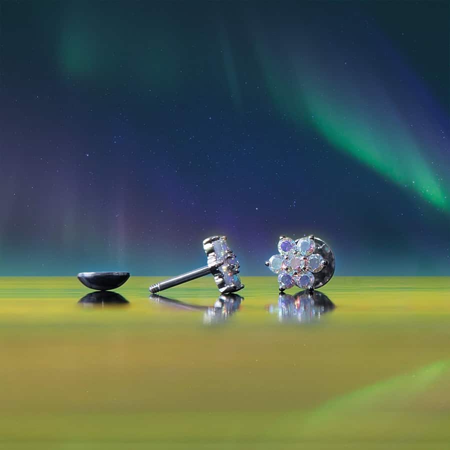 Aurora Borealis Flower image 1