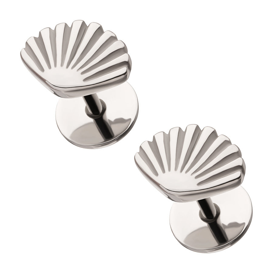 Seashells image 0
