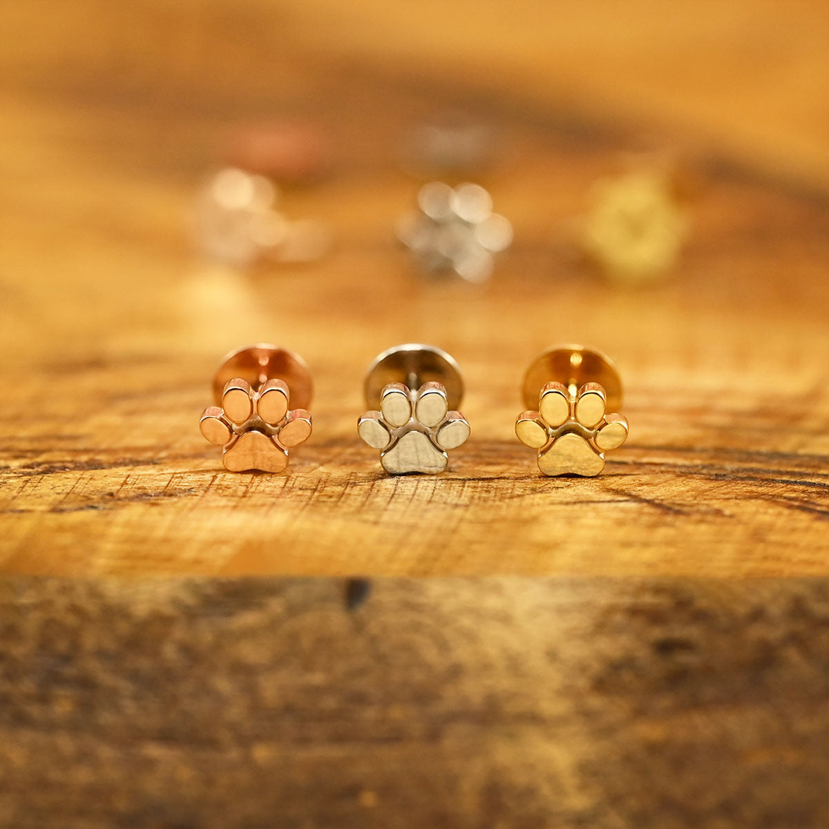 Stainless Paw Prints