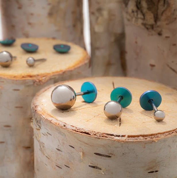 Titanium Ball ComfyEarrings sitting on a small log