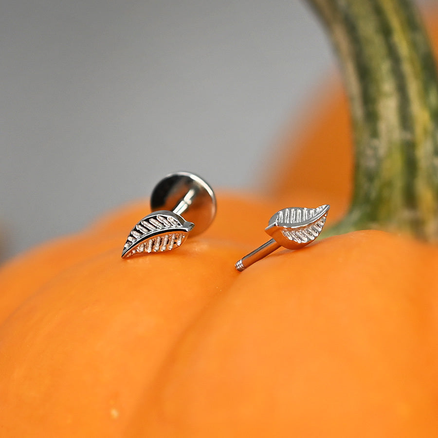 Stainless Leaf