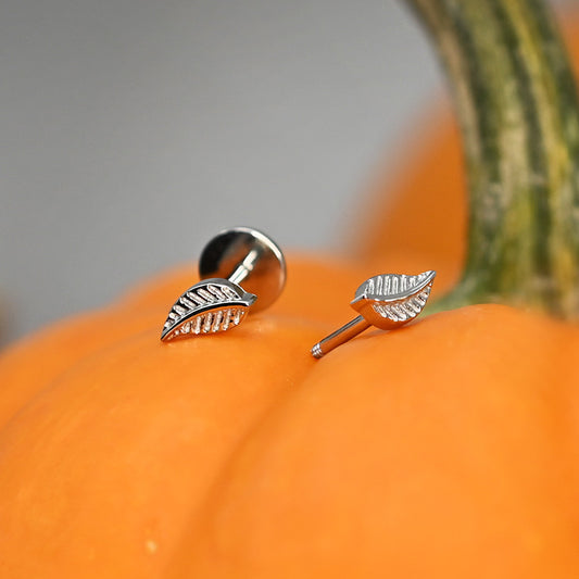 Stainless Leaf