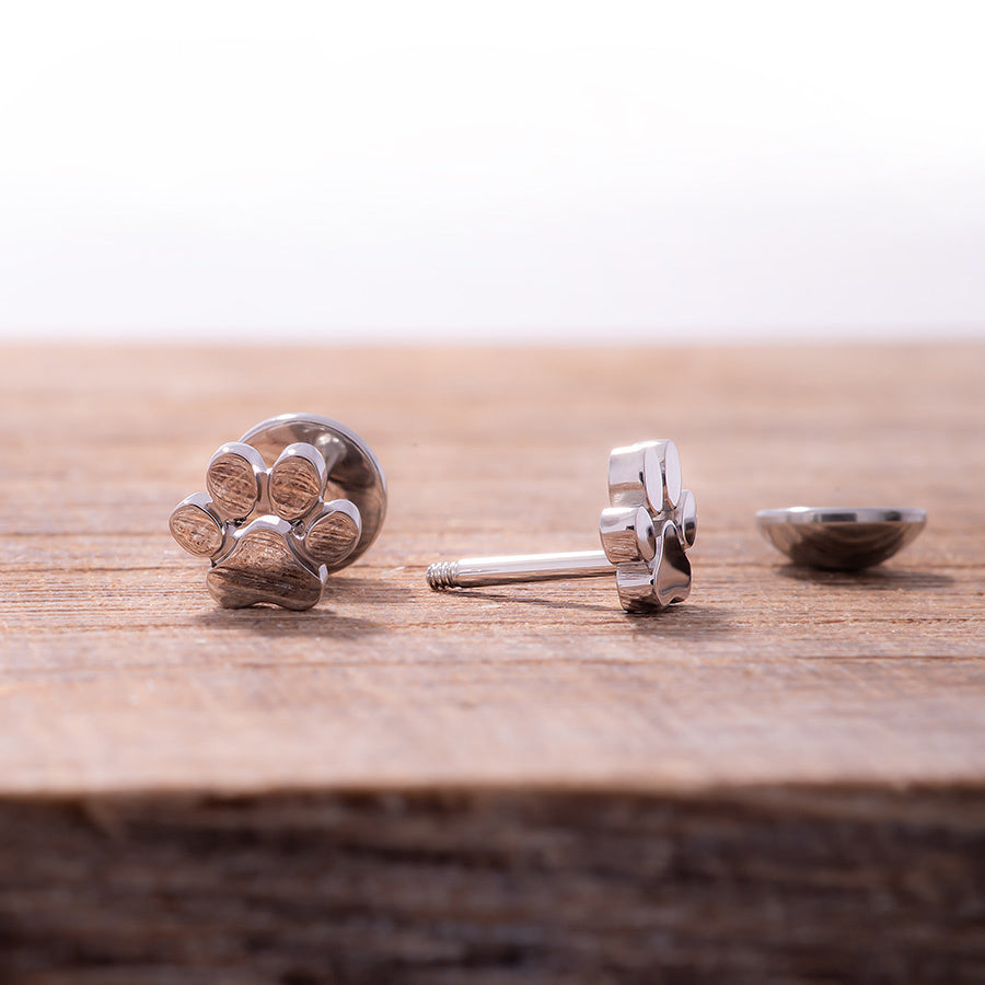 Stainless Paw Prints