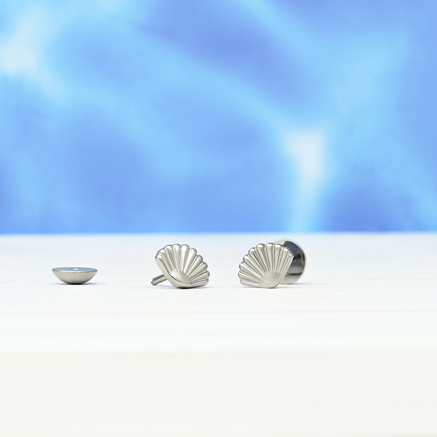 Seashells