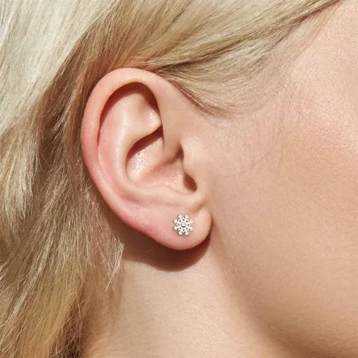 Snowflake with Gem