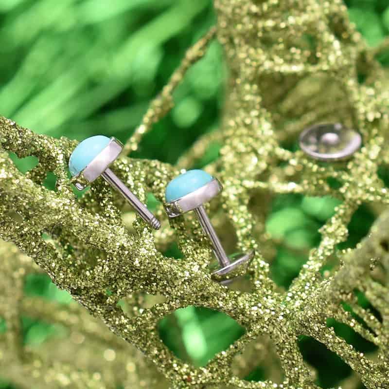 Stainless Steel Turquoise Post-Back Dangle Earrings, 20mm