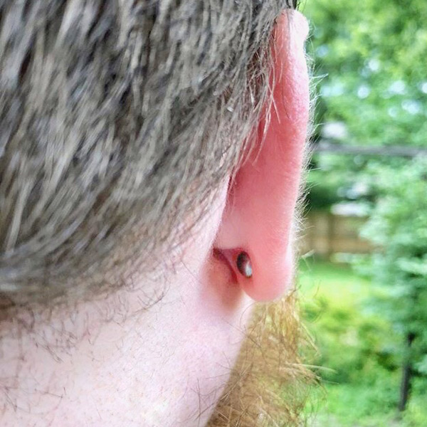 flat-back-stud-earrings-for-men-no-pain-piercings 