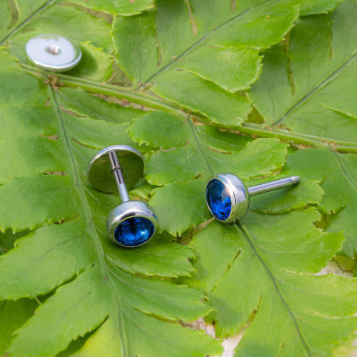 Blue Sapphire ComfyEarrings on green fern leaf