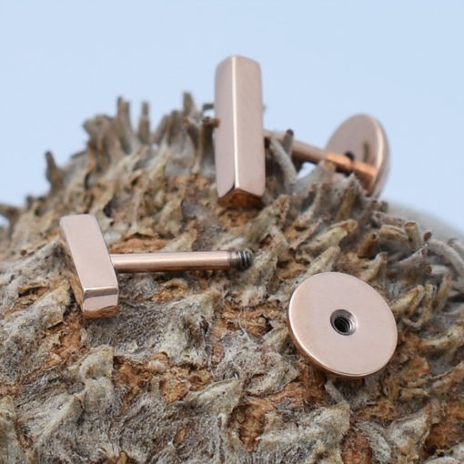 Rose Gold Bar ComfyEarrings on the top of a large acorn.