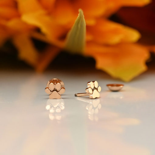 Rose Gold Paw Print ComfyEarrings in front of fall leaves