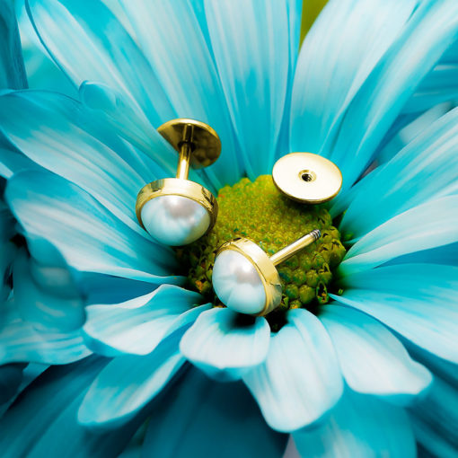 Half Pearl Gold ComfyEarrings sitting in a light blue flower.
