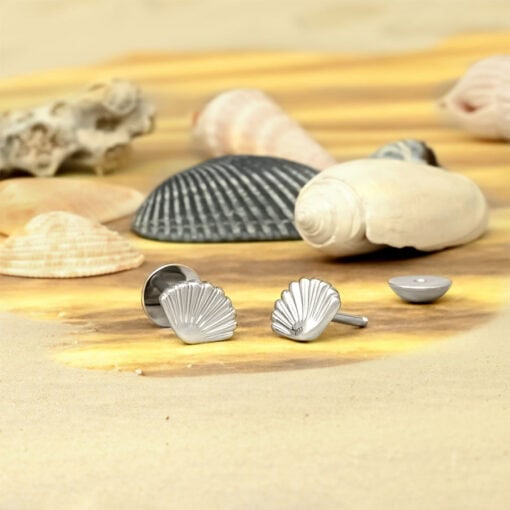 Seashell ComfyEarrings in front of seashells.